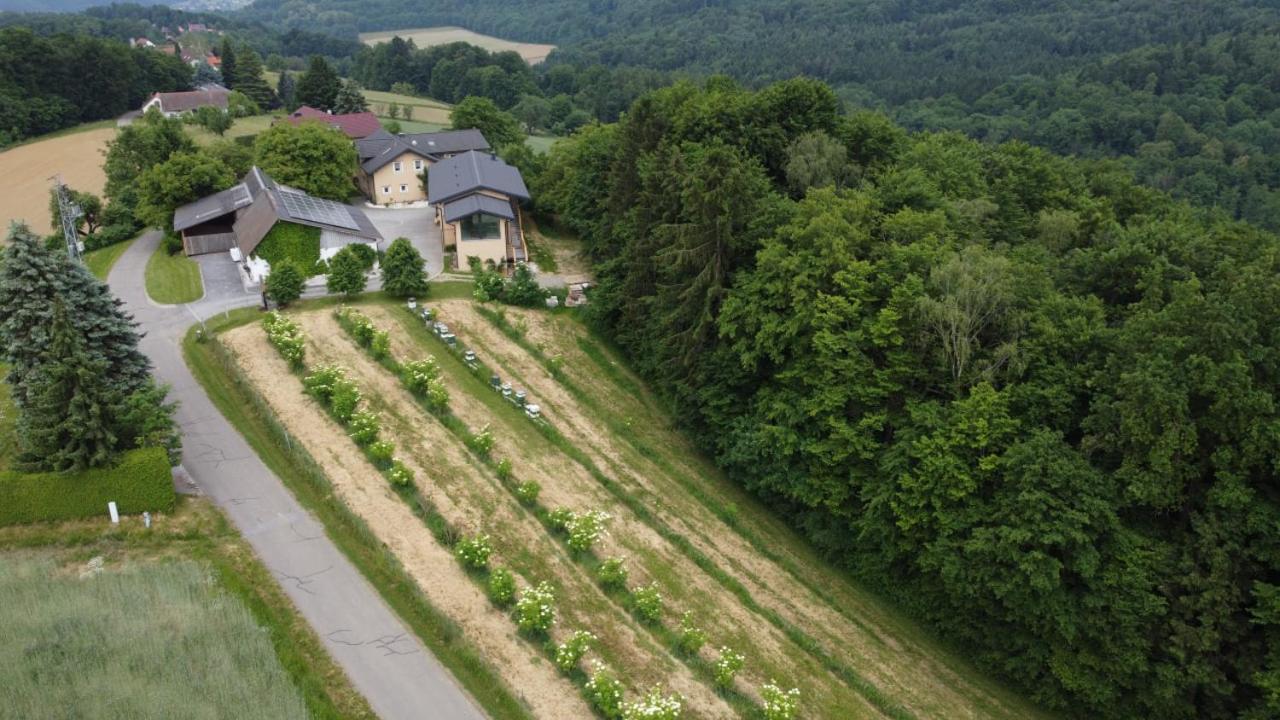 Beim Bergjosl Kirchbach in Steiermark Exterior foto