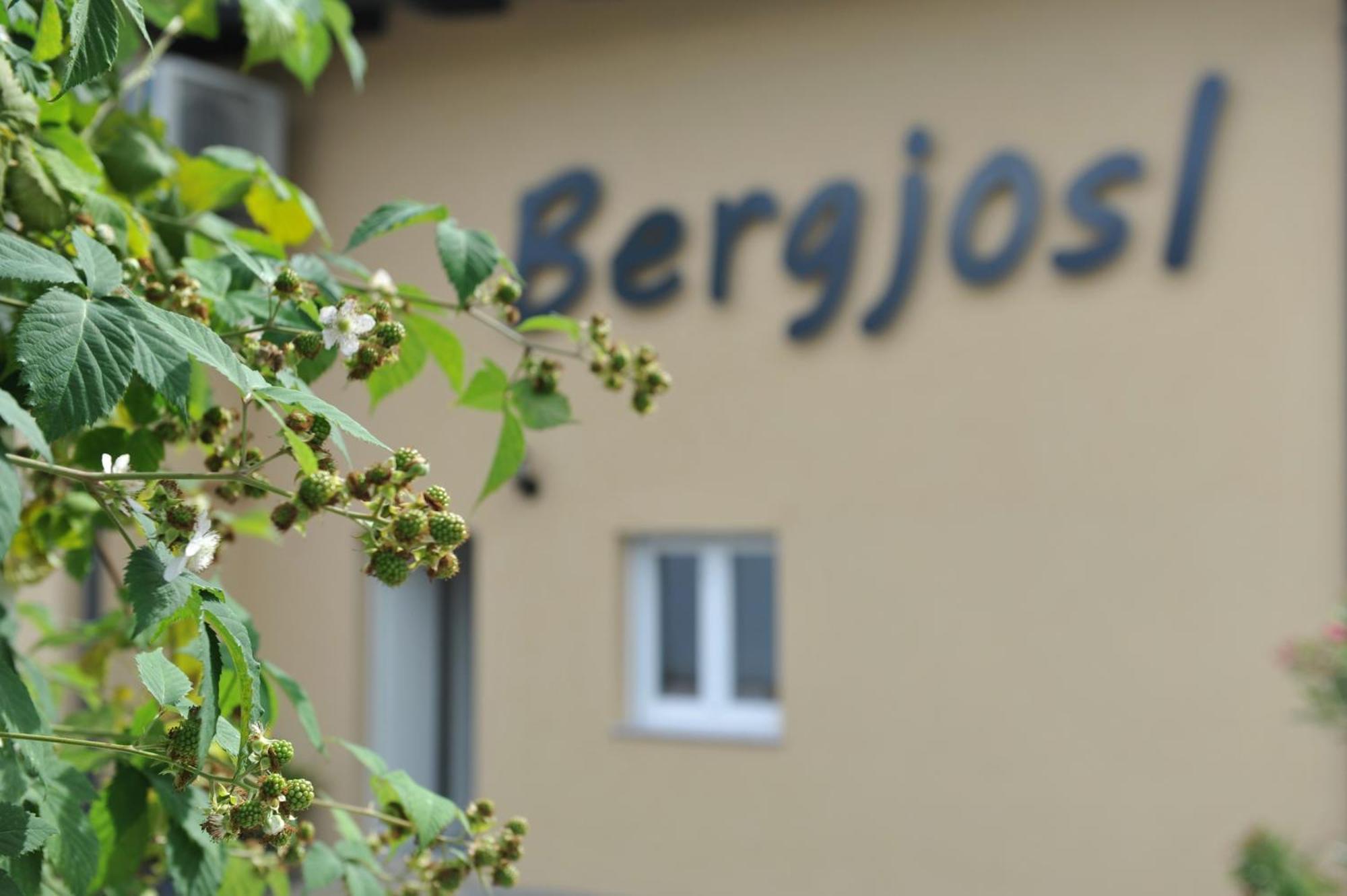 Beim Bergjosl Kirchbach in Steiermark Exterior foto